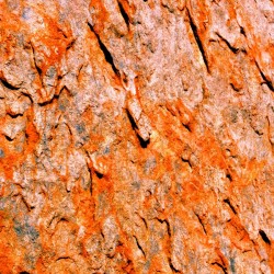 Australia Rocks - Abstract 26